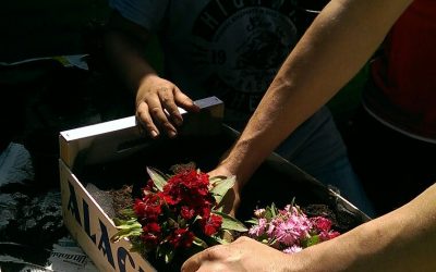 Aprenentatge i Servei: decoració en jardineres en motiu de la festa de primavera.