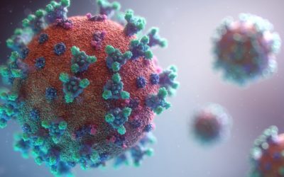 Actualitzem: vies d’atenció davant les mesures de prevenció pel COVID-19 adoptades dissabte