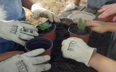 La #CactusExperience ja té format presencial