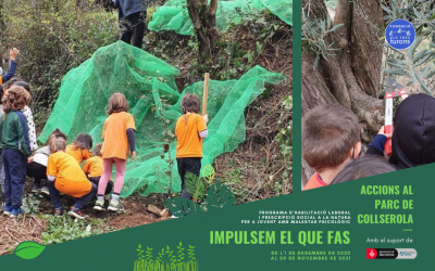 El projecte Impulsem inclou la collita d’olives a Can Soler