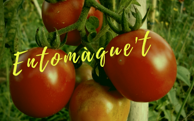 Jornada d’agroecologia urbana