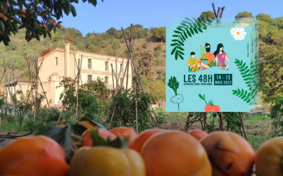 Plantem fruiters a ‘Les 48h de Verd urbà’