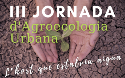 L’hort que estalvia aigua