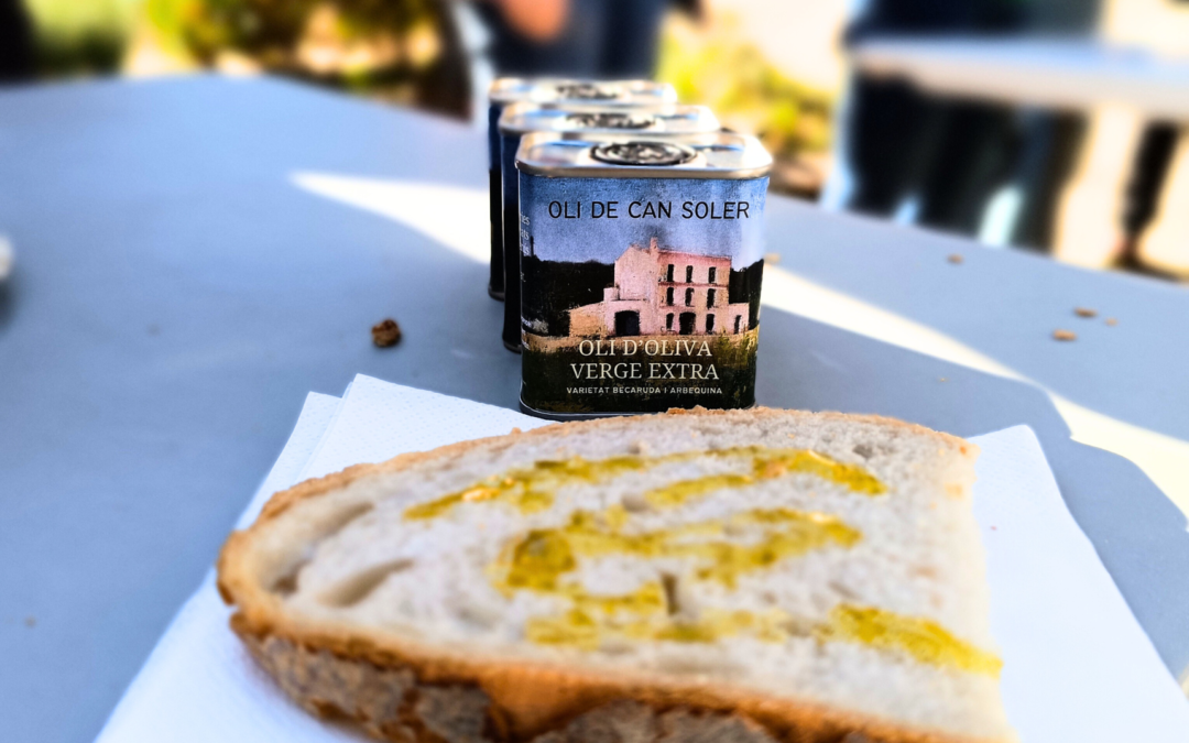 Presentat el primer oli d’oliva verge extra elaborat a partir de l’acció comunitària
