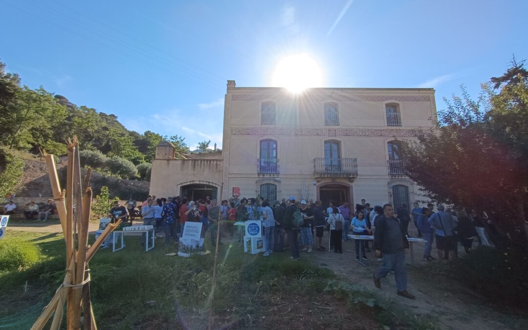 Èxit de participació a la #3TuFest