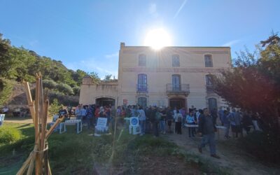 Èxit de participació a la #3TuFest