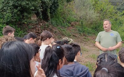 Alumnes de l’Escola Font d’en Fargas planten oliveres a Can Soler