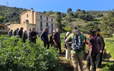 Can Soler acoge la presentación del estudio sobre polinizadores urbanos