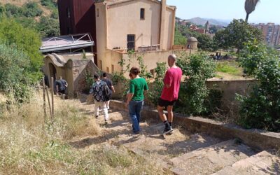 El Programa Singulars viu una setmana clau amb formació, visites i acció social al territori