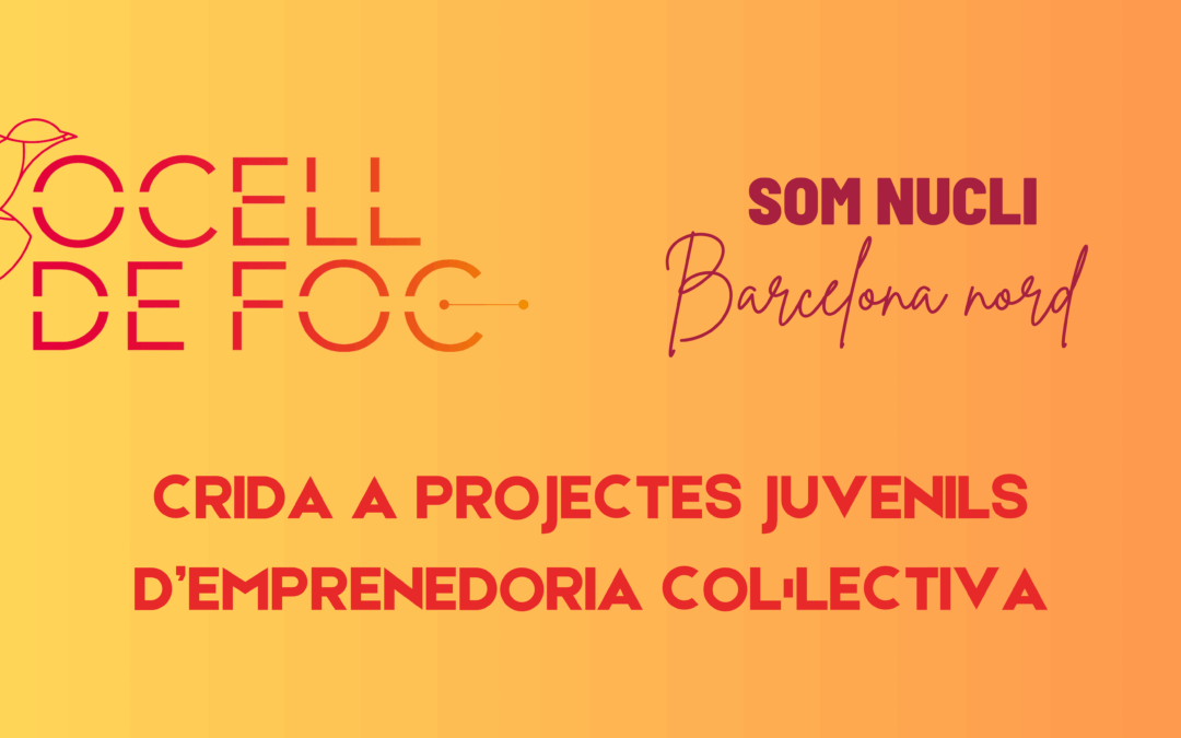 Crida a projectes juvenils
