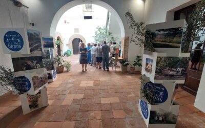 Inaugurem l’exposició de l’oli al Centre Cívic Torre Llobeta