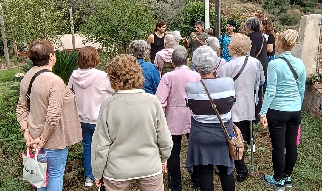 Les persones grans també fan salut a Can Soler