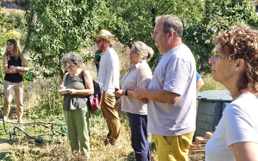 Can Soler forma part d’un itinerari formatiu sobre agroecologia del Parc de Collserola